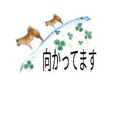 [LINEスタンプ] まったり柴犬のスタンプ第3だん