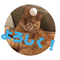 [LINEスタンプ] 茶色のご挨拶