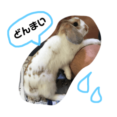 [LINEスタンプ] ぐみちゃん大好き