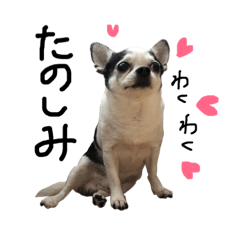 [LINEスタンプ] ハンスとおでかけ