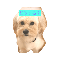 [LINEスタンプ] オリーブ最高
