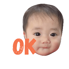 [LINEスタンプ] りつとスタンプ