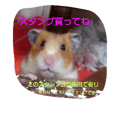 [LINEスタンプ] 動物達、