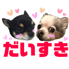 [LINEスタンプ] みゅうとリン 2
