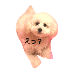 [LINEスタンプ] みろまる
