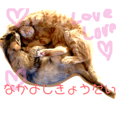 [LINEスタンプ] 我が家のケモノ達 2nd