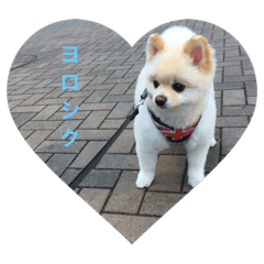 [LINEスタンプ] 勘助
