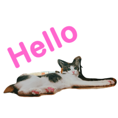 [LINEスタンプ] とらねこつん