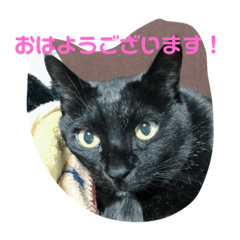 [LINEスタンプ] ジジとモモ
