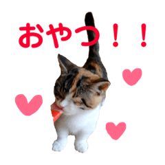 [LINEスタンプ] みけマンチカン ルルのほのぼのライフ