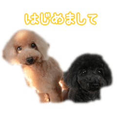 [LINEスタンプ] なま＆むぎ