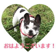 [LINEスタンプ] フレンチブルドッグのPENNYちゃん