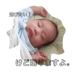 [LINEスタンプ] けど、眠りますよ。