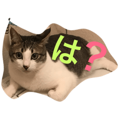 [LINEスタンプ] がんも。
