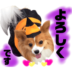 [LINEスタンプ] 秋限定☆可愛い愛犬♡パピヨン