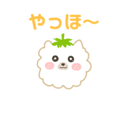 [LINEスタンプ] ポメラニアンのモコモコ