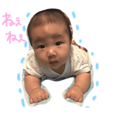 [LINEスタンプ] ひなぼう  スタンプ