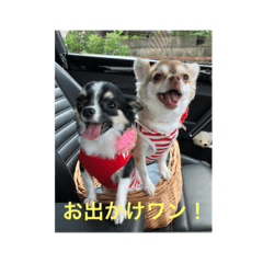 [LINEスタンプ] ぷりんとめろん