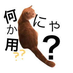 [LINEスタンプ] グラとチャコ1