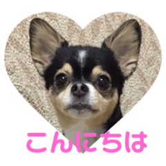 [LINEスタンプ] らんでぃ