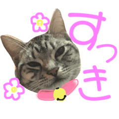 [LINEスタンプ] お嬢ちゃんスタンプ