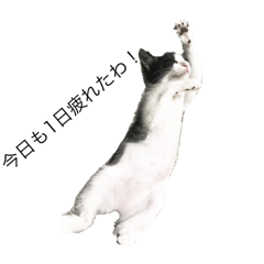 [LINEスタンプ] うさぎさんとねこちゃん