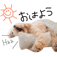 [LINEスタンプ] マルプーまっしゅの日常スタンプ