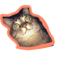 [LINEスタンプ] あじ