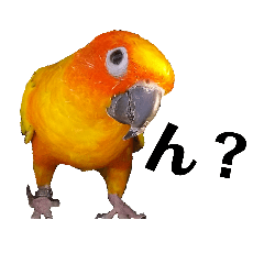 [LINEスタンプ] コガネメキシコインコのコガ