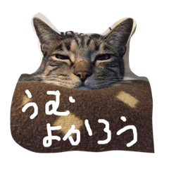 [LINEスタンプ] まぐとむぎのスタンプ