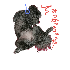 [LINEスタンプ] 白くー×黒ゆずトイプー