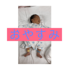 [LINEスタンプ] たいぴっぴちゃん