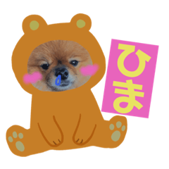 [LINEスタンプ] ポメラニアンジーニー