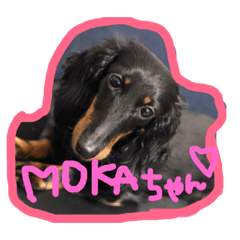 [LINEスタンプ] 愛犬♡モカちゃん