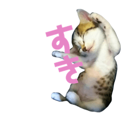 [LINEスタンプ] 岩澤エル2