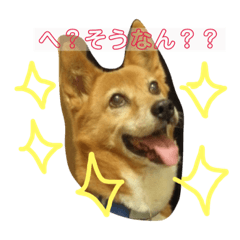 [LINEスタンプ] まろん NO.1