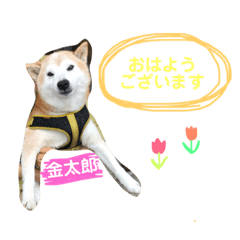 [LINEスタンプ] 海苔ノリのり屋