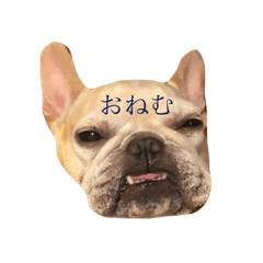 [LINEスタンプ] カワイ〜ロッピー
