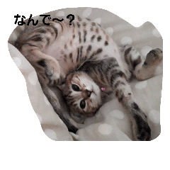 [LINEスタンプ] もりりんーもんろー
