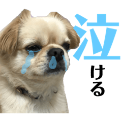 [LINEスタンプ] リッツ 3