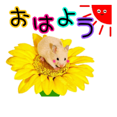 [LINEスタンプ] アロハム ハウス