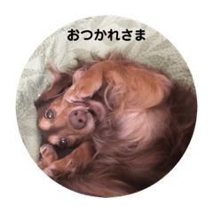 [LINEスタンプ] りゅうカイル 2