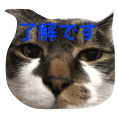 [LINEスタンプ] みうごん