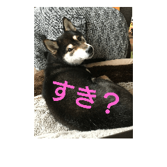 [LINEスタンプ] ぶらっくどっぐだいありー 2号