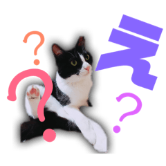 [LINEスタンプ] 猫の勘九郎 2