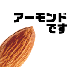 [LINEスタンプ] アーモンドです