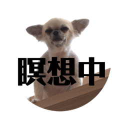 [LINEスタンプ] ゆずおさん
