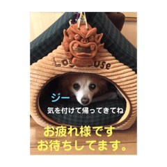 [LINEスタンプ] あんずの気持ち(お留守)