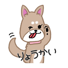 [LINEスタンプ] 毎日つかえる柴犬スタンプ