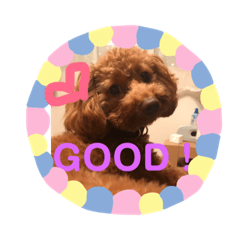 [LINEスタンプ] 私のコロン